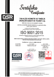 Certificate 1
